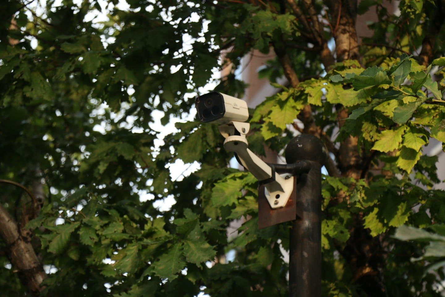 White security camera mounted on a metal pole among trees.